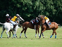 021  Zweites Drittel.