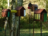 040 : Anatol, Herbst, Insel Hombroich