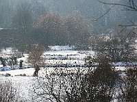 42  Ein letzter Blick.