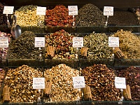 016 DSC2148 Tee  Teesorten.